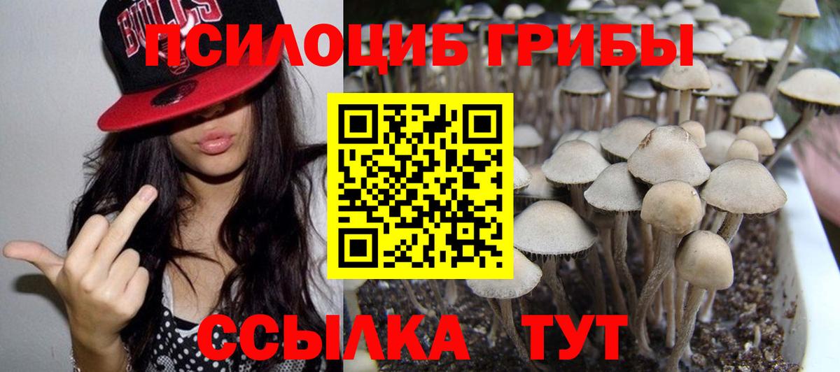 Галлюциногенные грибы MAGIC MUSHROOMS  Вход с VPN  Гусиноозёрск 