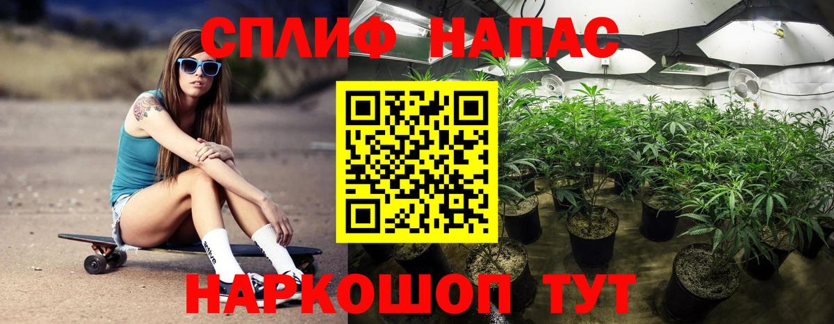 Каннабис Bruce Banner Гусиноозёрск